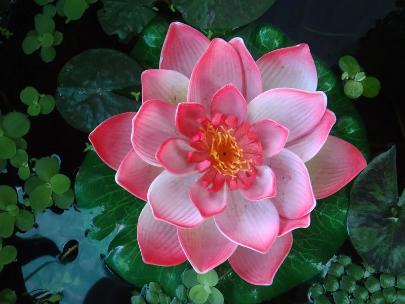 PB220022 (Kopia).webp