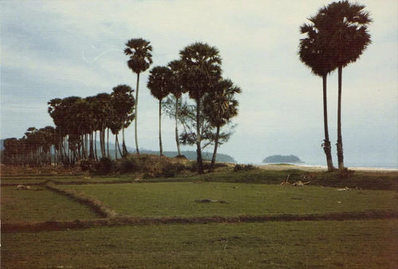 Phuket [800x600].webp