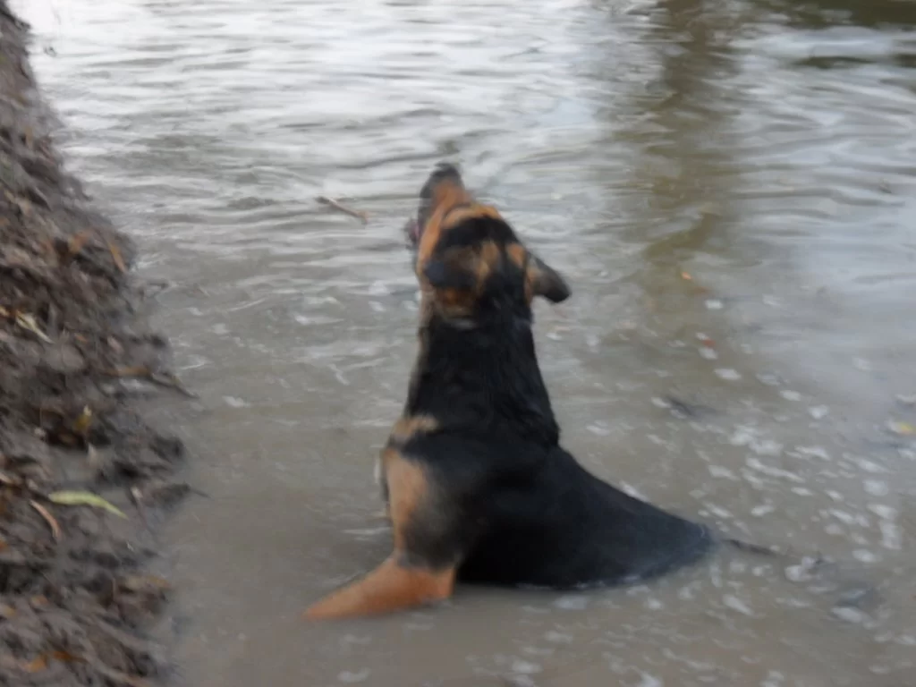 Picture 082 (2).webp