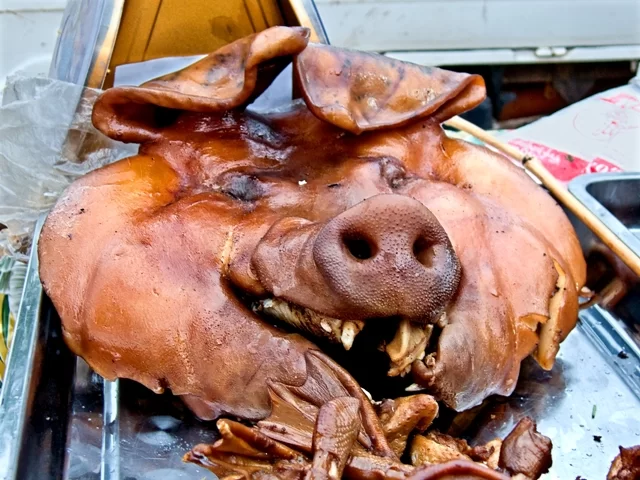pig head.webp