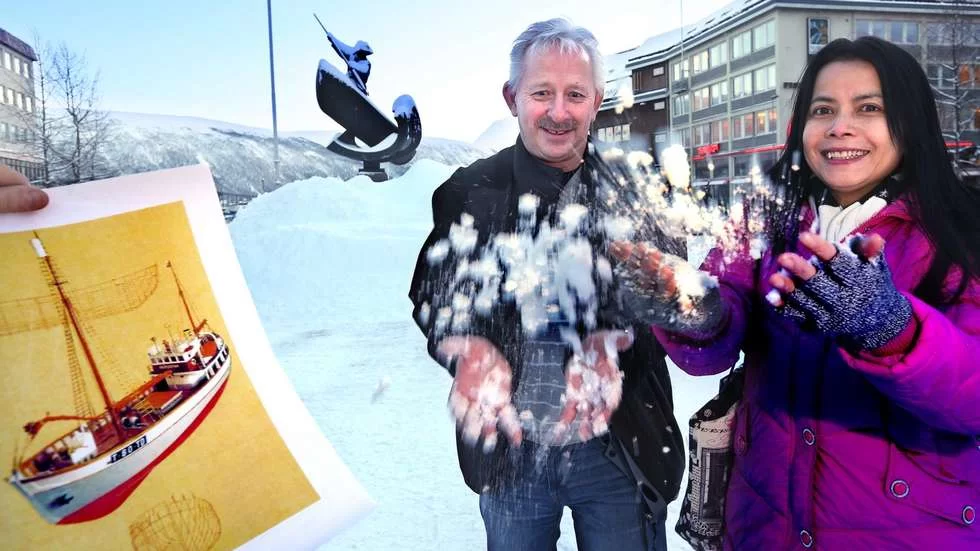 Polstjerna i is.webp