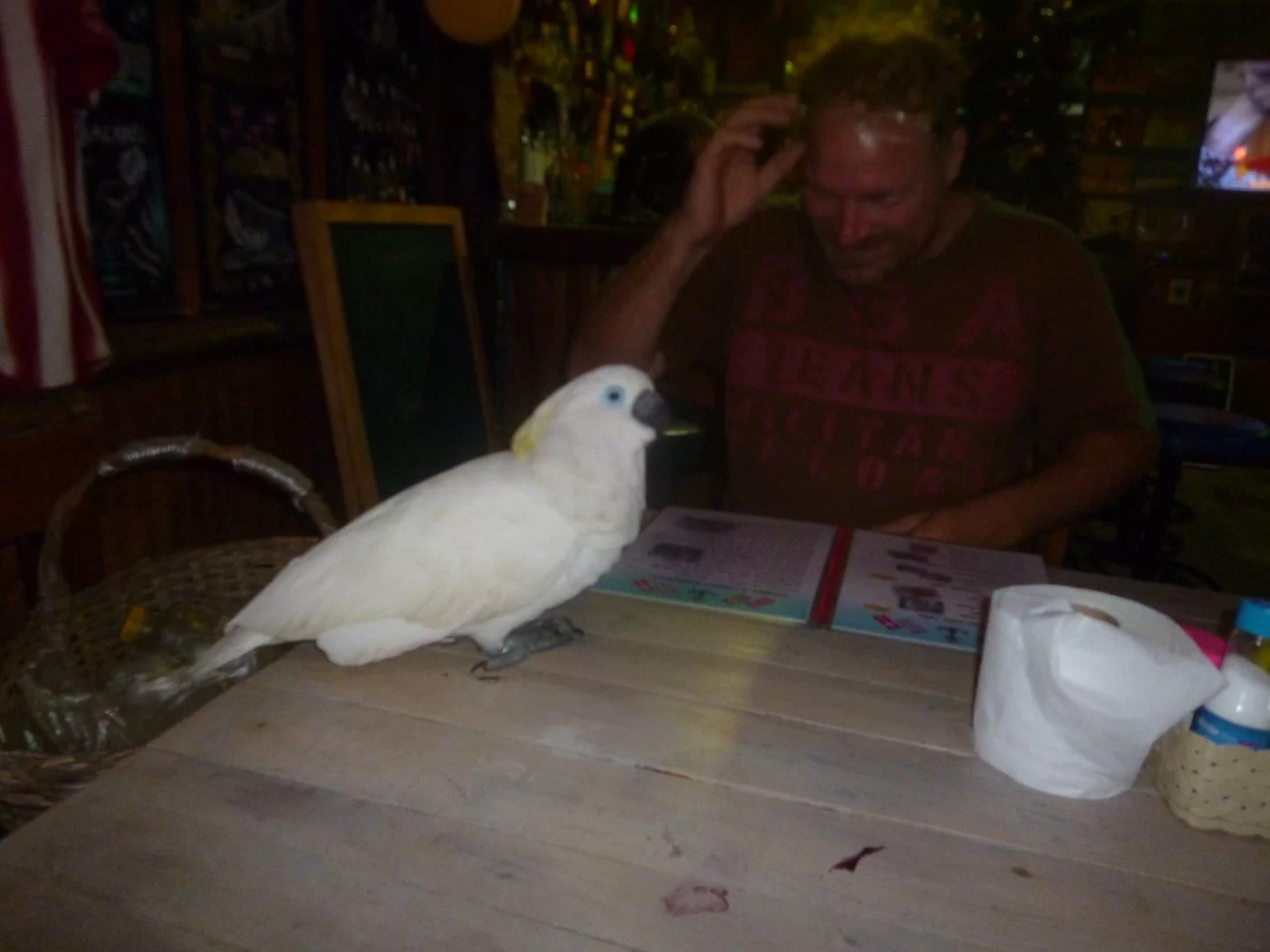 qqqqqqqqqqqqqqqqqqqqq 006.JPG