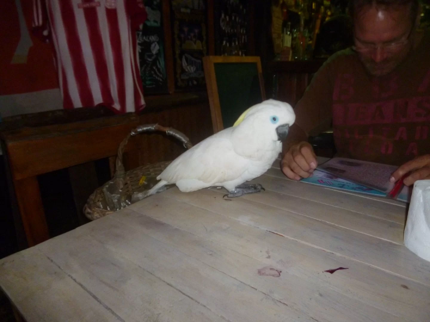 qqqqqqqqqqqqqqqqqqqqq 007.JPG