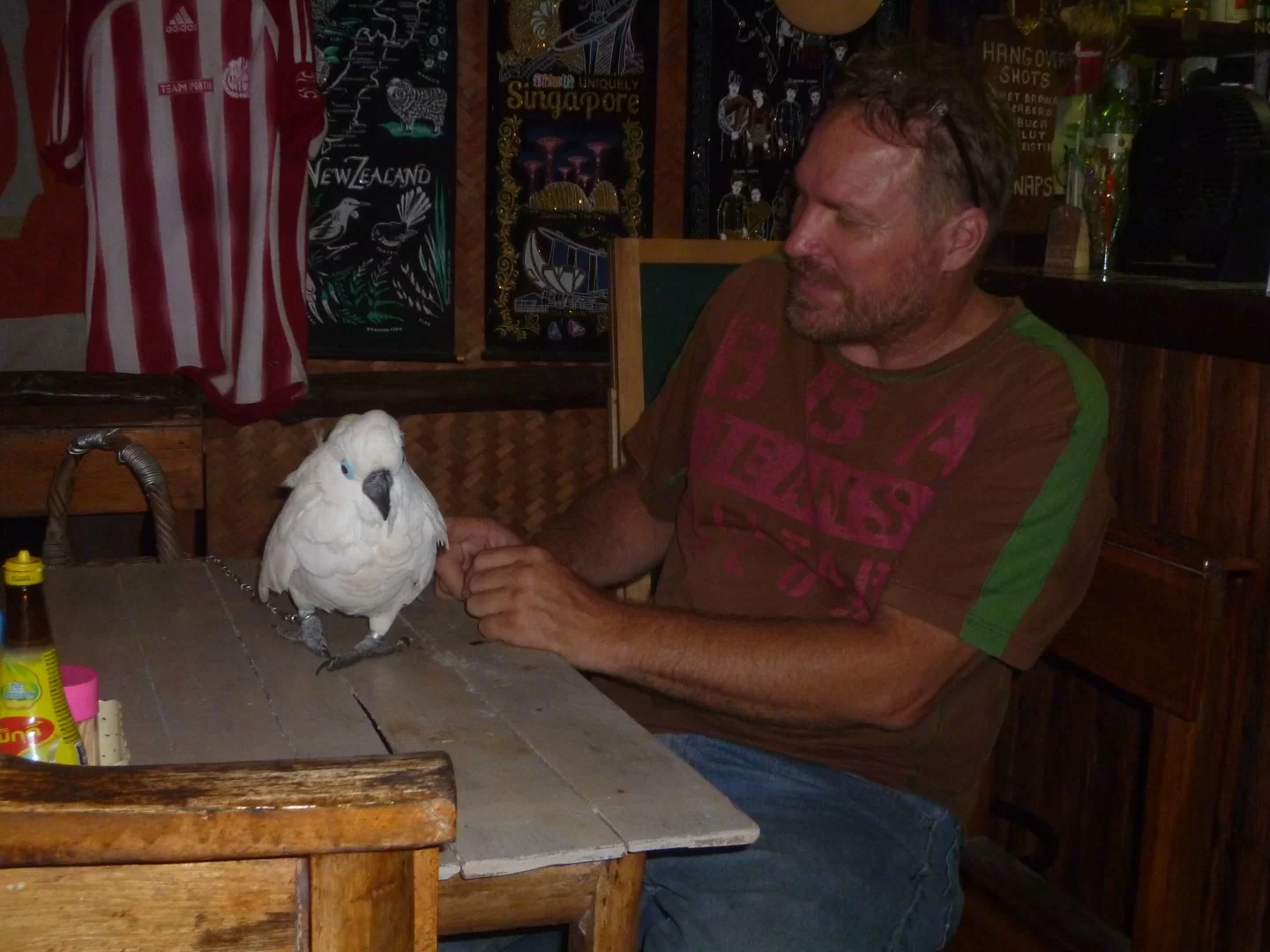 qqqqqqqqqqqqqqqqqqqqq 008.JPG