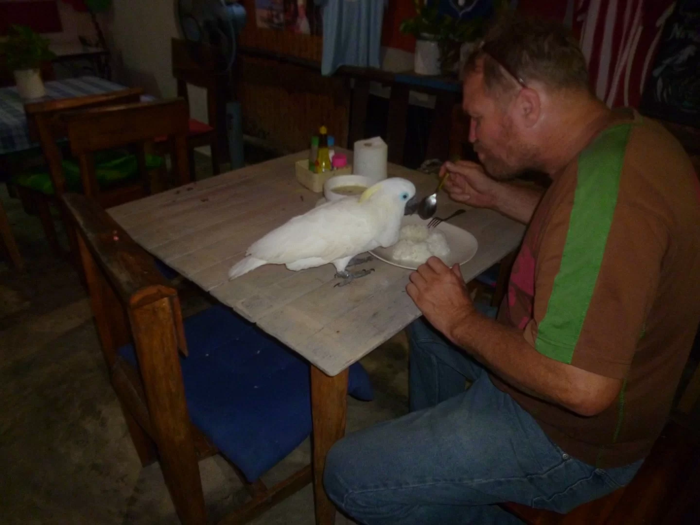 qqqqqqqqqqqqqqqqqqqqq 009.JPG