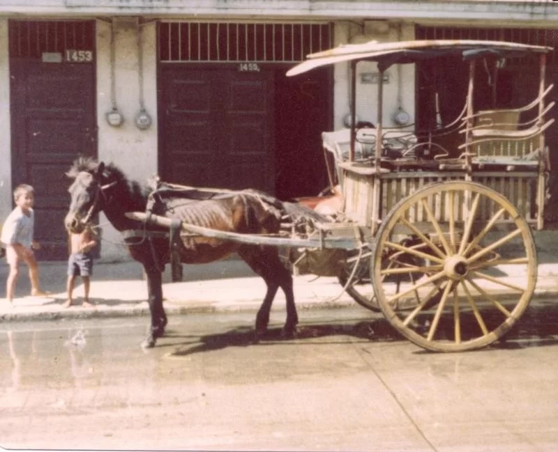 Quezon City (2).webp