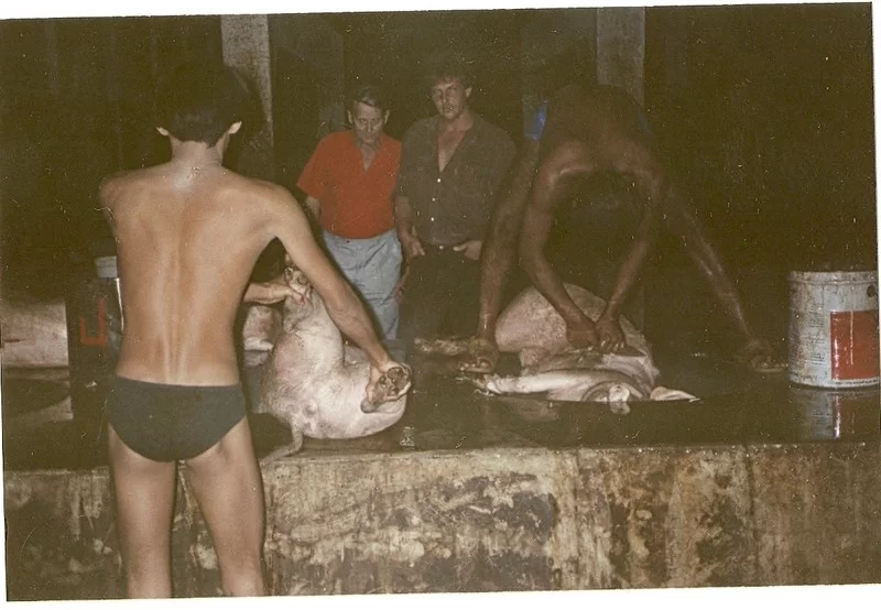 Rawaii. (2) (Kopia).webp