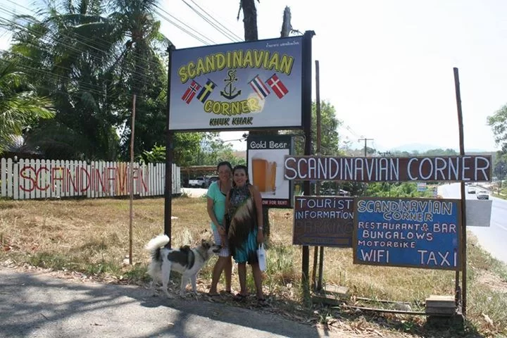 scandinavian (15).webp