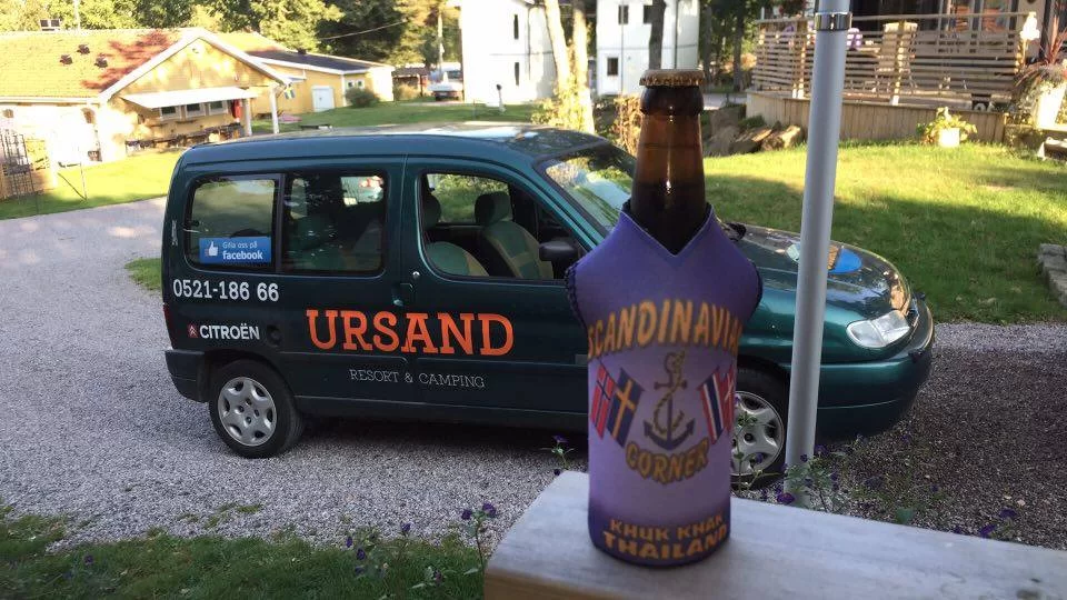 scandinavian (19).webp