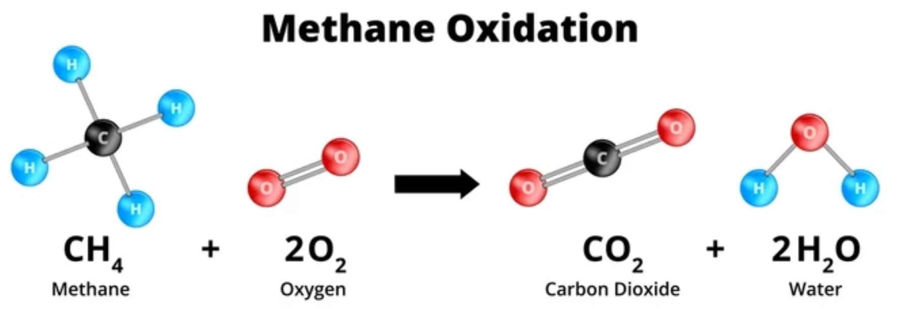 Screenshot 2025-05-25 at 09.07.26.webp