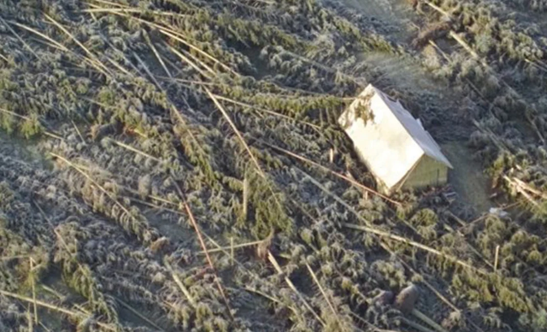 Screenshot 2025-12-02 at 15.18.25.webp