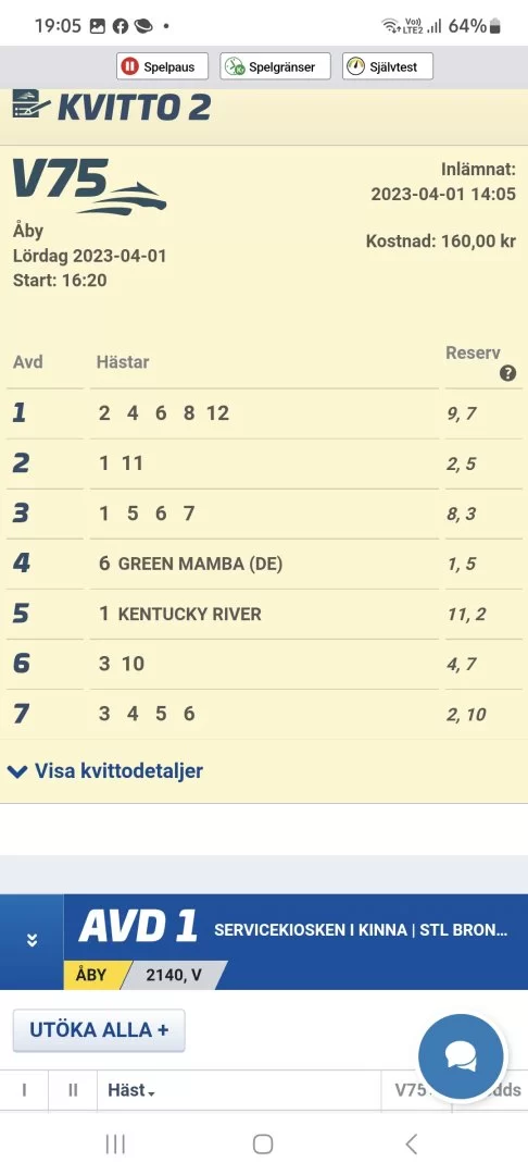 Screenshot_20230401_190540_Samsung Internet.webp