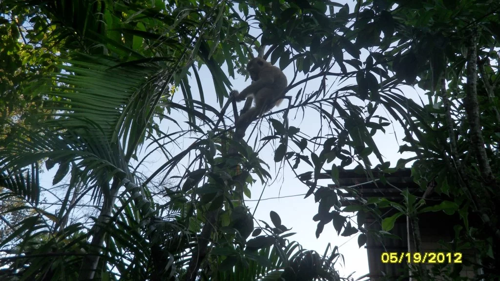 sdfghkjlöä- 025.webp