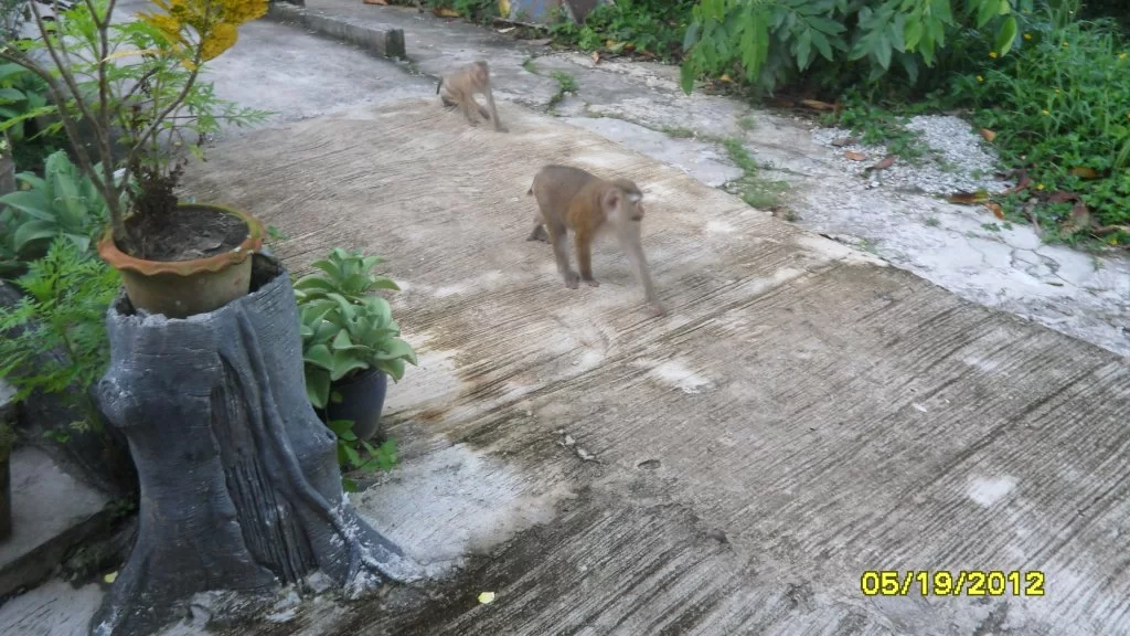 sdfghkjlöä- 026.webp