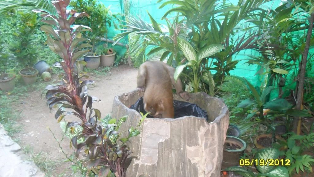 sdfghkjlöä- 027.webp