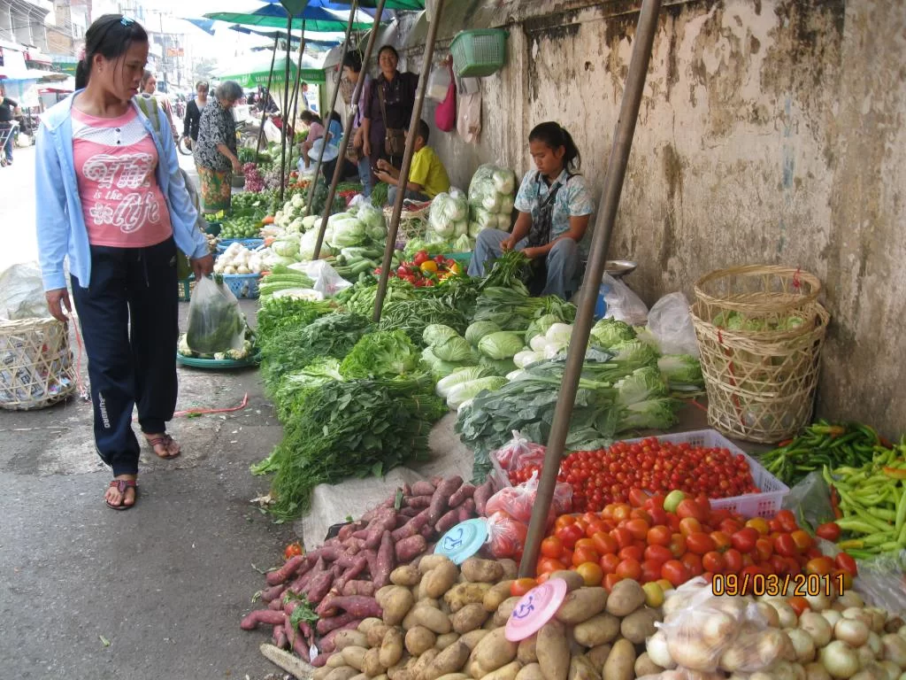 semester 2-31 mars 2011 125.webp