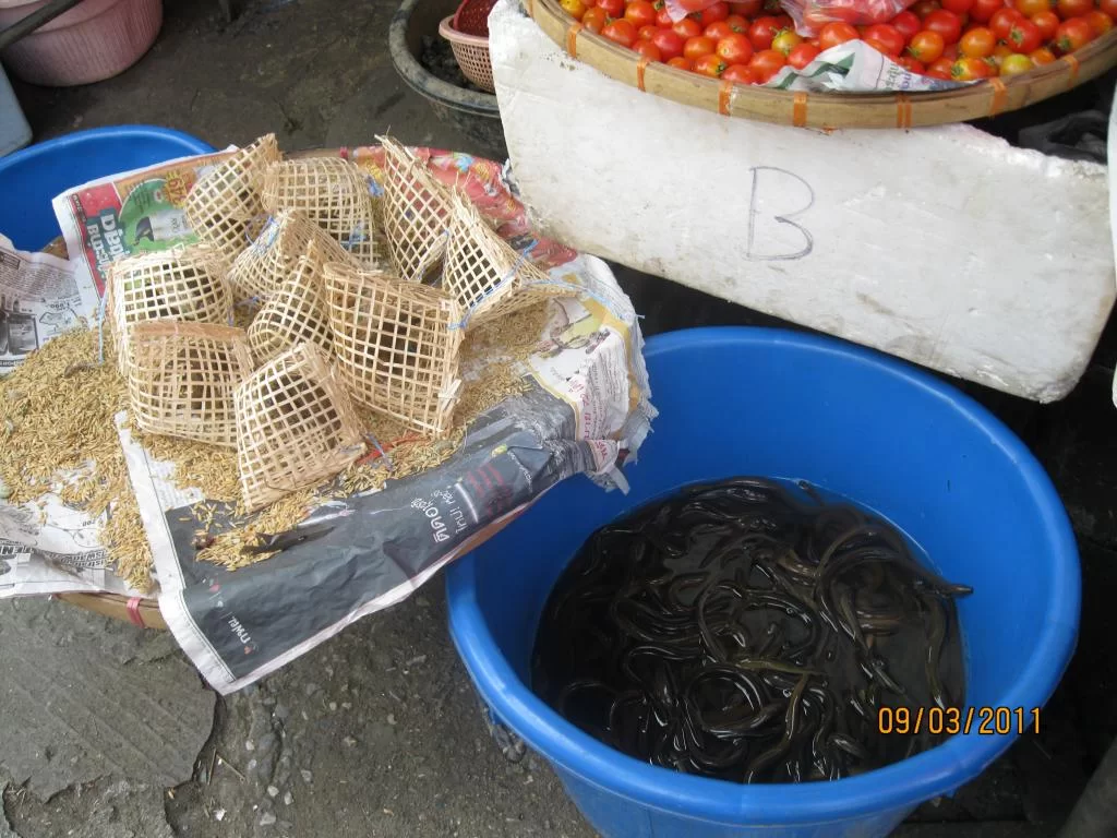 semester 2-31 mars 2011 126.webp