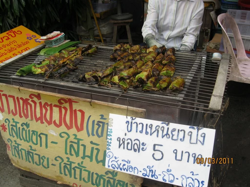 semester 2-31 mars 2011 128.webp