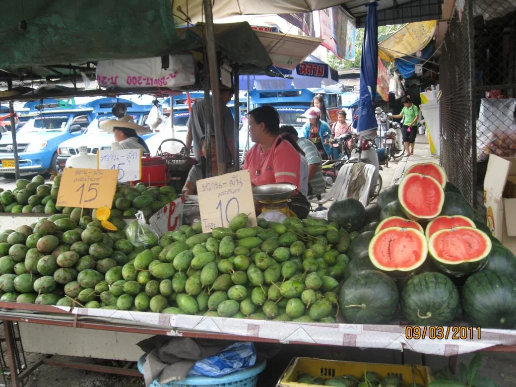 semester 2-31 mars 2011 129.webp