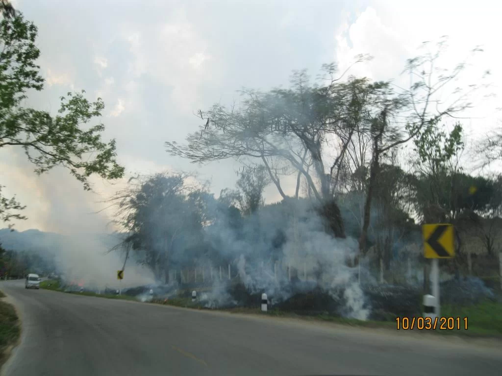 semester 2-31 mars 2011 136.webp