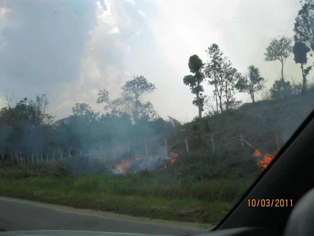 semester 2-31 mars 2011 137.webp