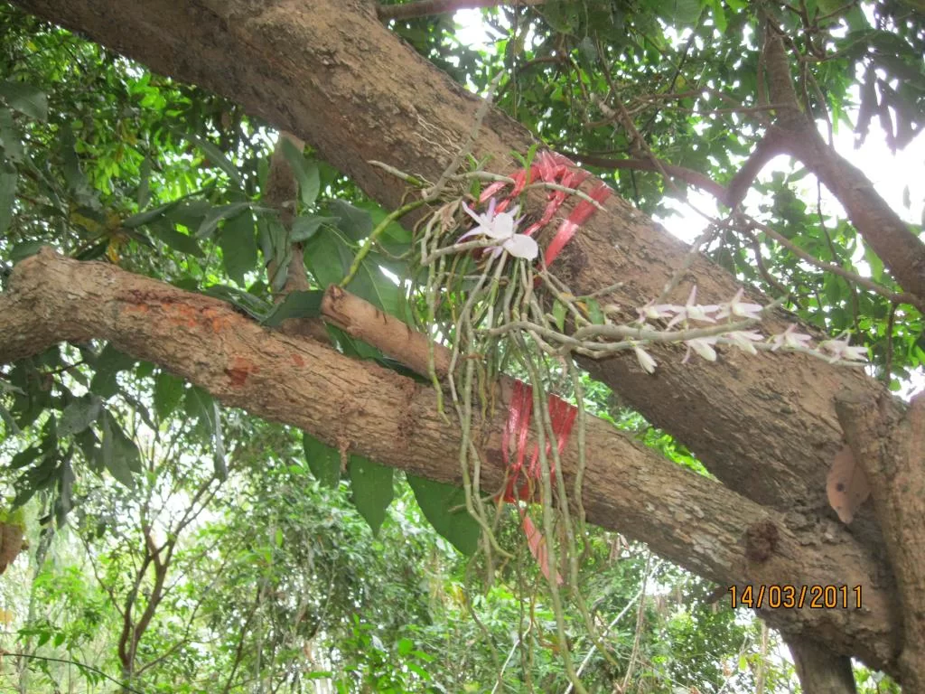 semester 2-31 mars 2011 182.webp