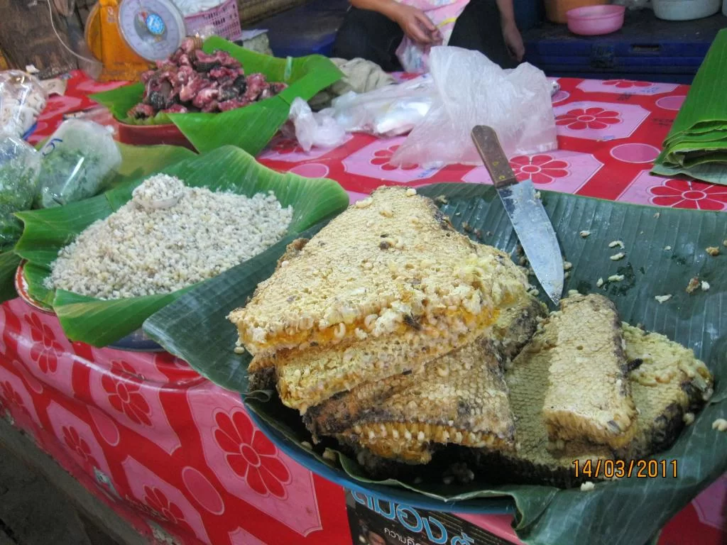 semester 2-31 mars 2011 213.webp