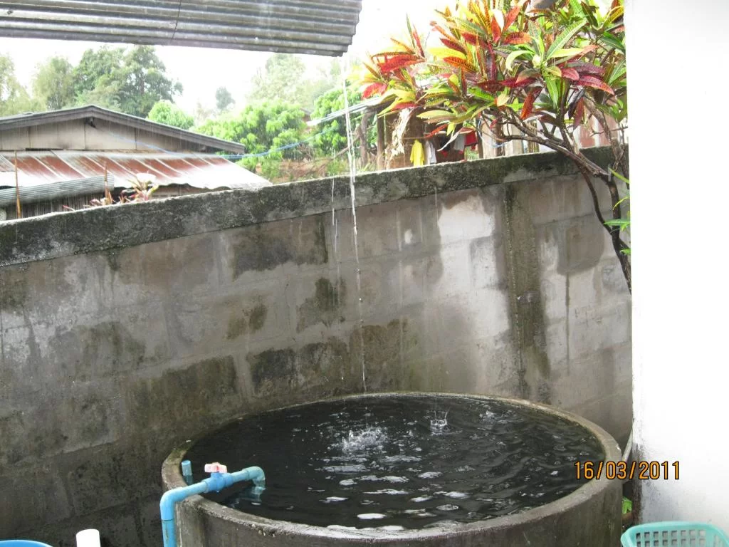 semester 2-31 mars 2011 234.webp