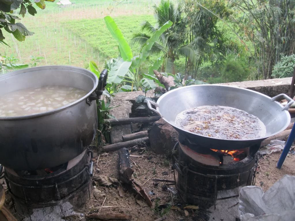 semester 2-31 mars 2011 333.webp