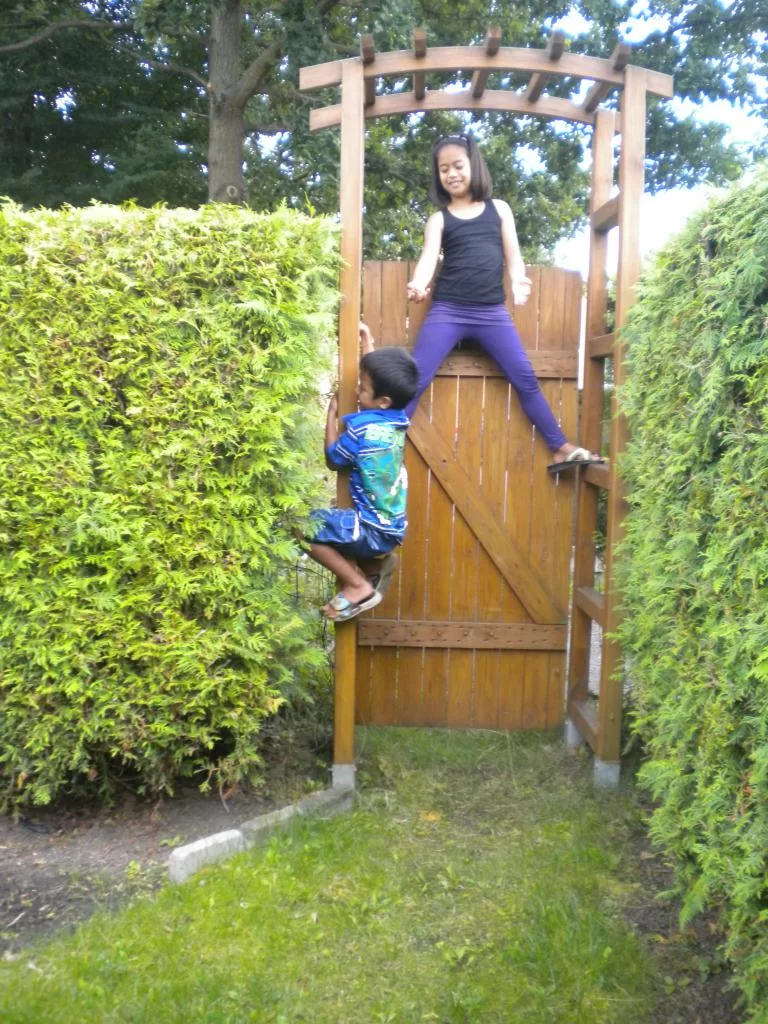 Skånes Djurpark 110827 051.webp