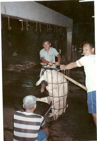 skanna0006 (Kopia).webp