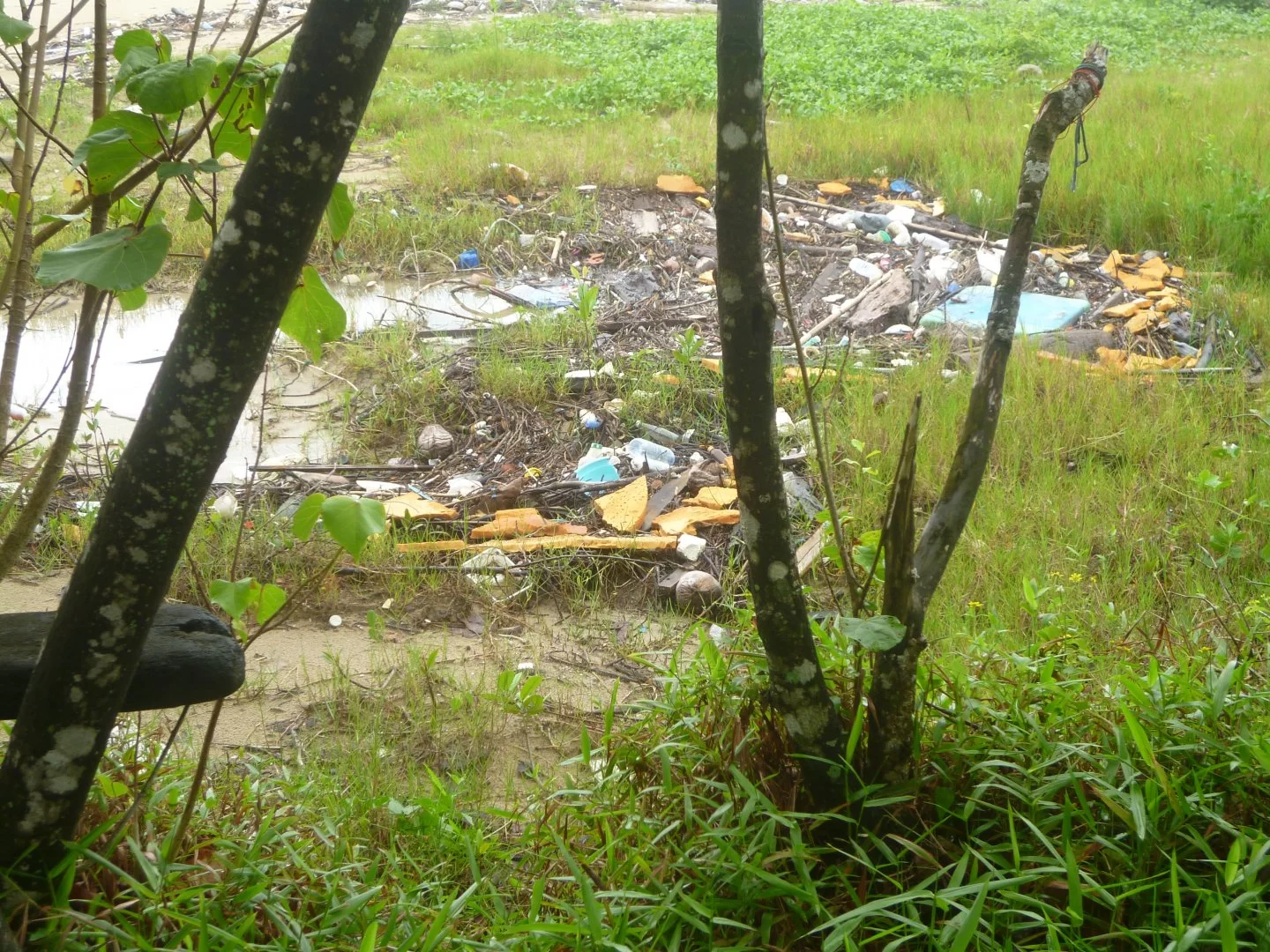 skitiga thailand (2).webp