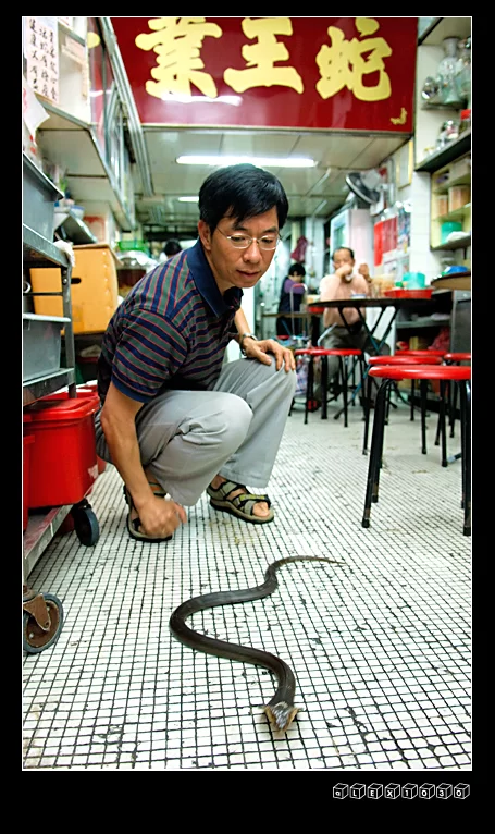 Snake for dinner.webp