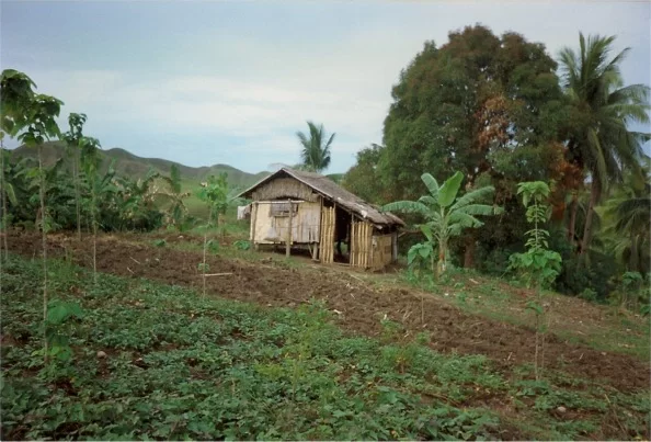 svågerns hus igen.webp