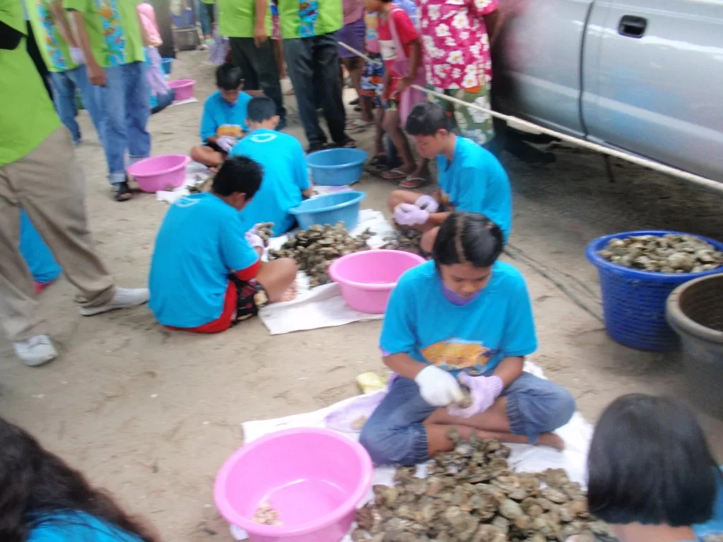 Thai Bangsaen 306.webp