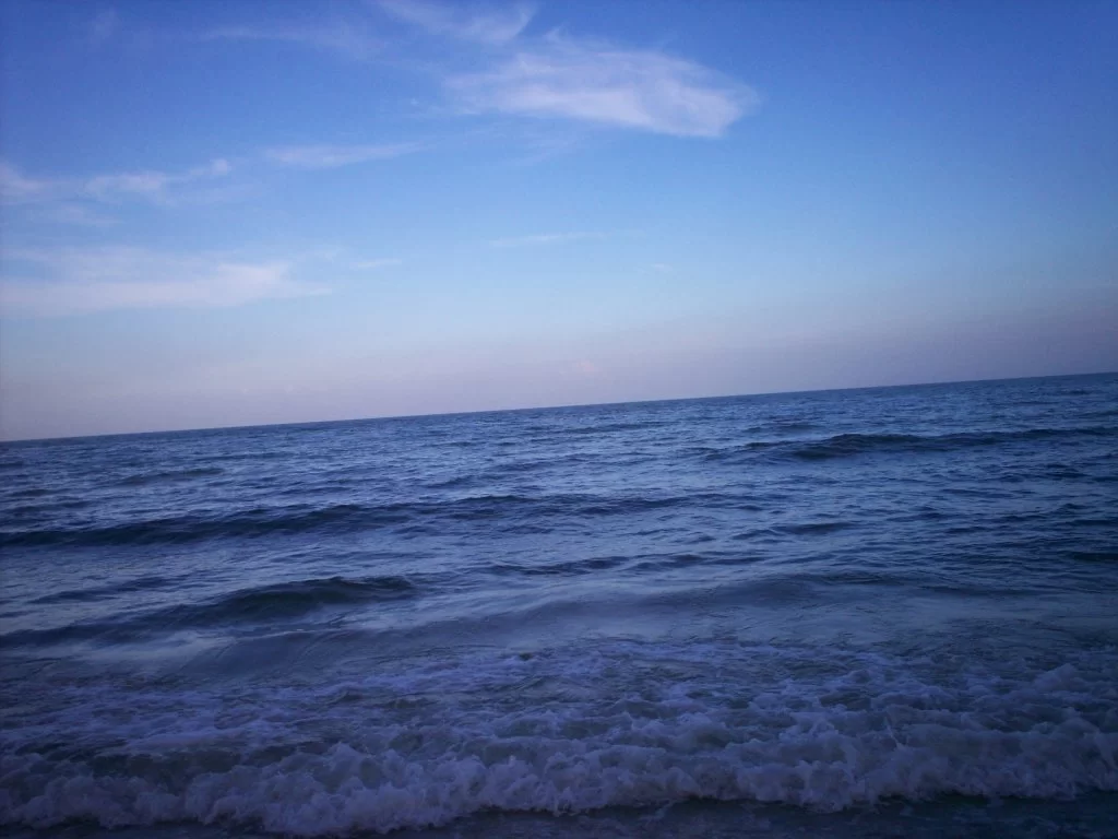 thai dec 06 074.webp