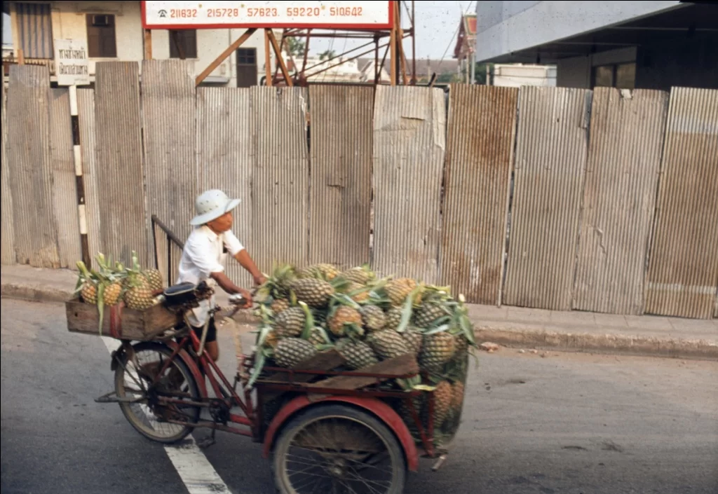 Thailand 1973 32.webp
