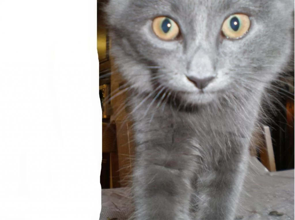 thailand 2010 280.webp