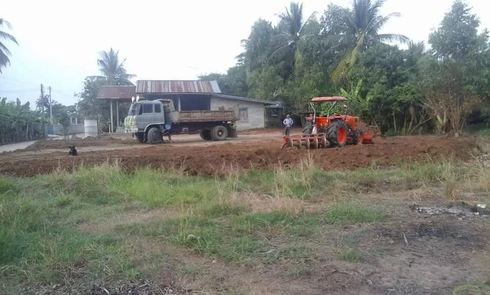 Thailand 2017 942.webp