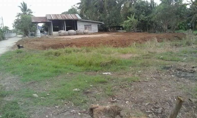 Thailand 2017 944.webp