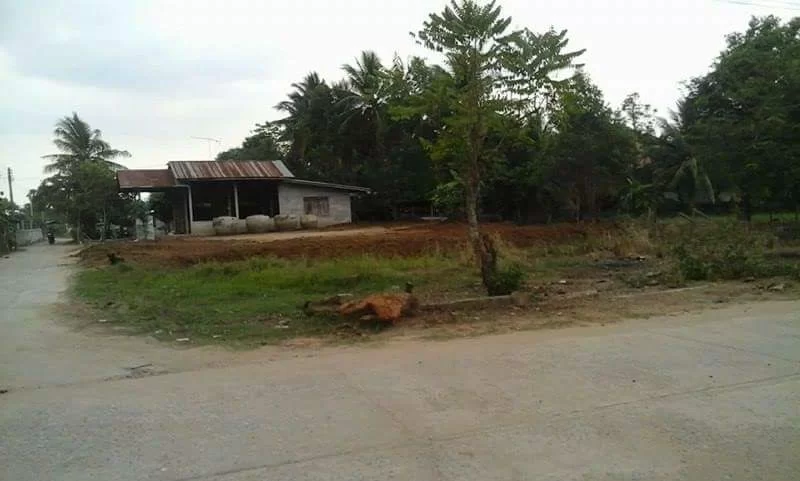 Thailand 2017 945.webp