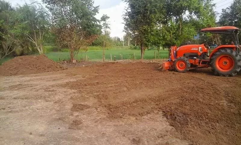 Thailand 2017 948.webp