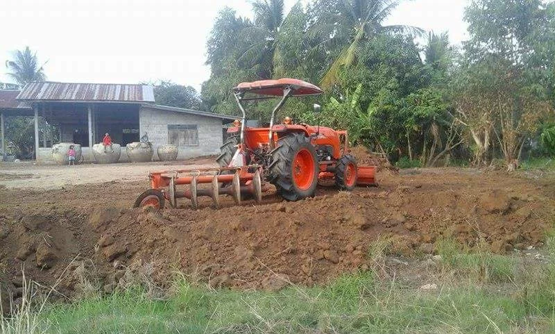 Thailand 2017 950.webp