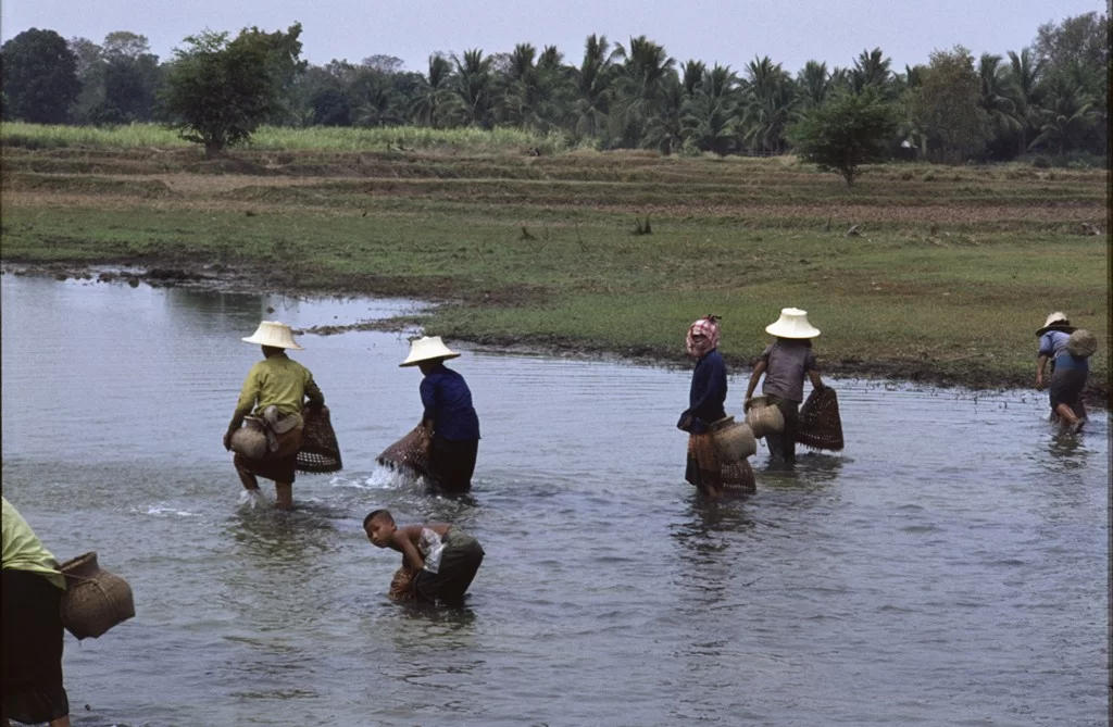 Thailand 33 [1024x768].webp