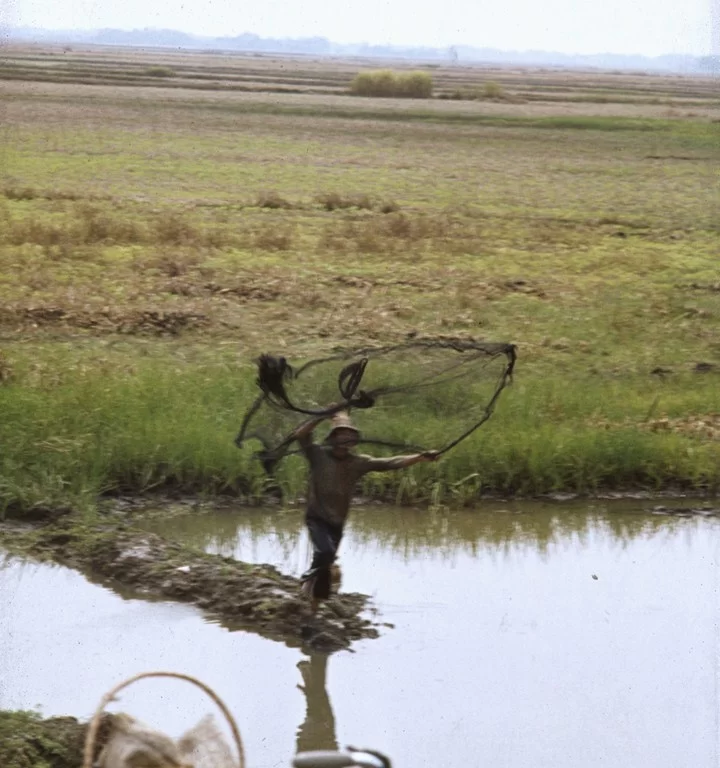 Thailand 34 [1024x768].webp