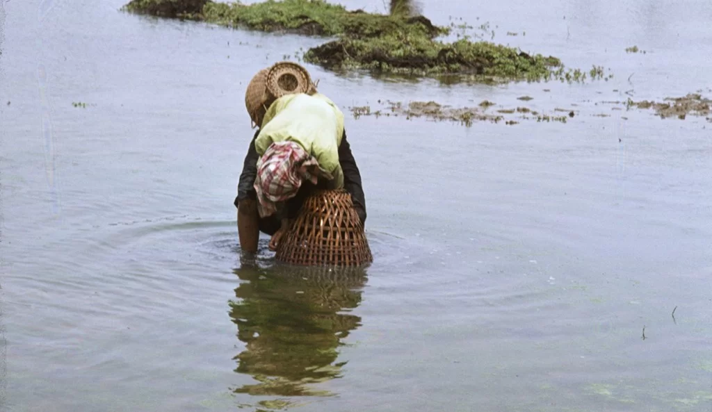 Thailand 35 [1024x768].webp