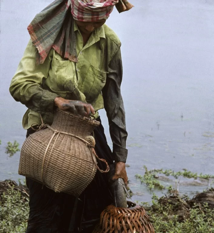 Thailand 36 [1024x768].webp