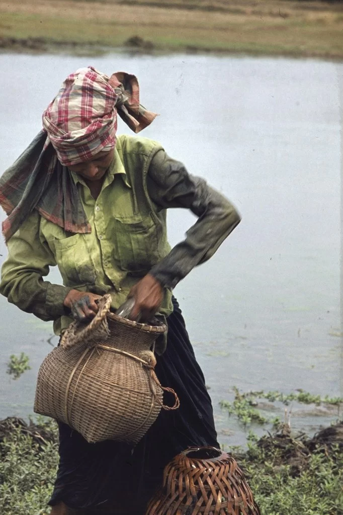 Thailand 41 [1024x768].webp