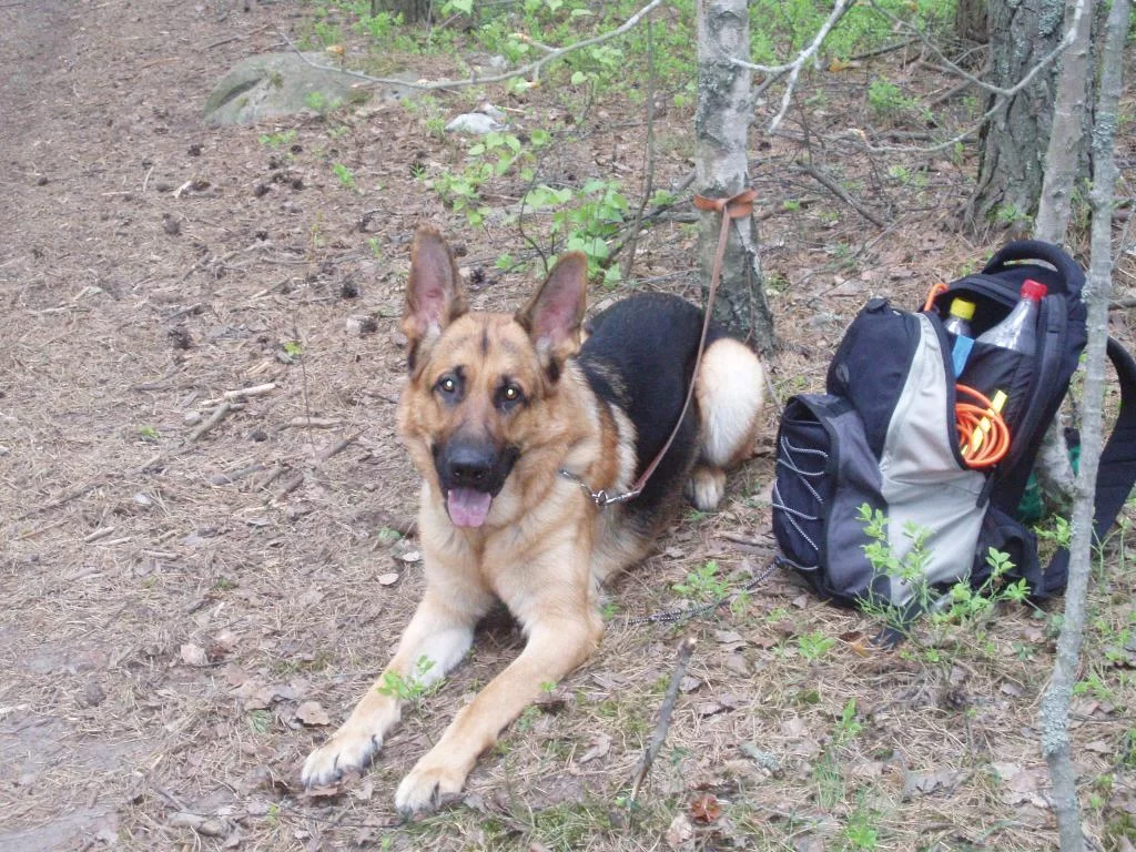 thailand+athena 086.webp