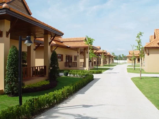 thumbImage-2 (1).webp